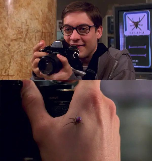 Comment image