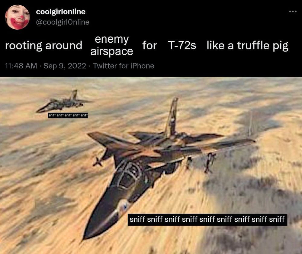 coolgirlonline:

rooting around enemy airspace for T-72s like a truffle pig

a pair of F-111s then pictured, each going "sniff sniff sniff sniff sniff sniff sniff sniff"
