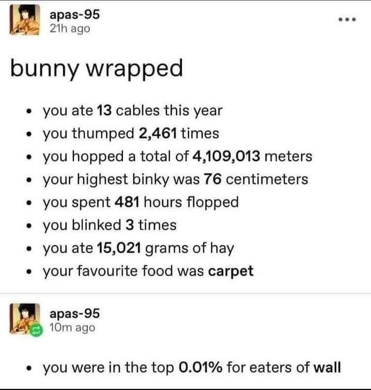 apas-95

bunny wrapped
you ate 13 cables this year
you thumped 2461 times
you hopped a total of 4109013 meters
your highest binky was 76 centimeters
you spent 481 hours flopped
you blinked 3 times
you ate 15,021 grams of hay
your favorite food was carpet

apas-95

you were in the top 0.01% for eaters of wall