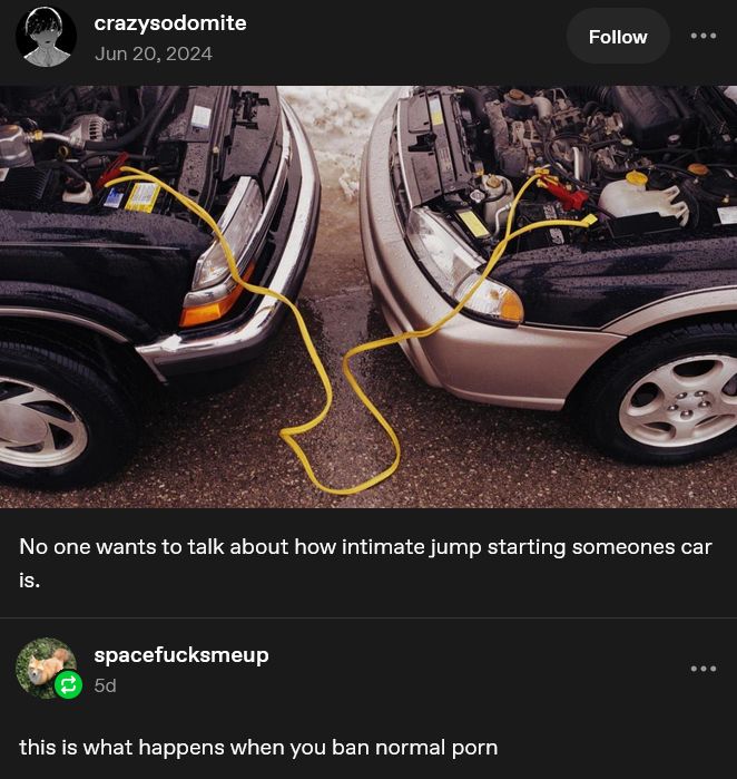 image shows two cars jump started together with text reading:

"No one wants to talk about how intimate jump starting someone's car is."

The reply then reads:

"this is what happens when you ban normal porn"