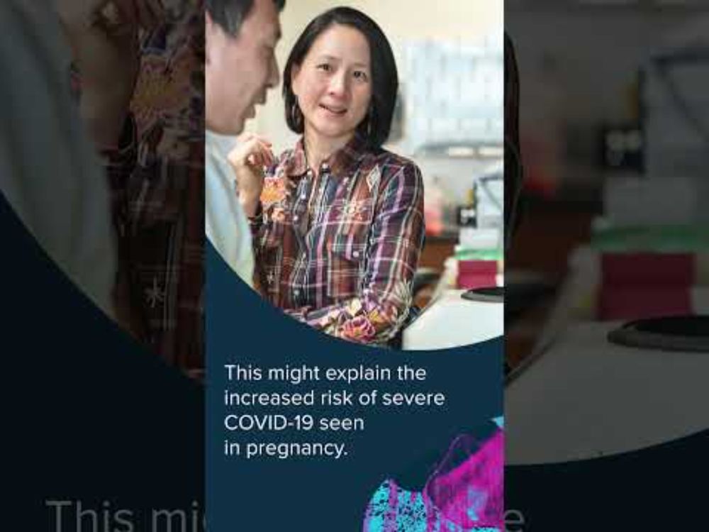 Discovery Spotlight | Pregnancy, Lactation Shape Immune Response to COVID-19 Vaccine and Infection