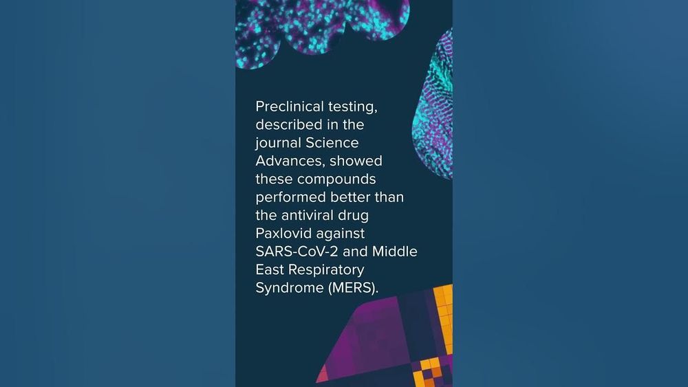 Discovery Spotlight | Could This Molecule Be ‘Checkmate’ for Coronaviruses?