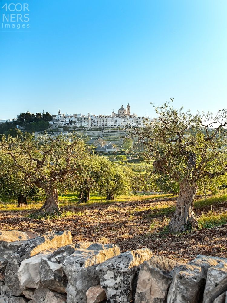 	Italy, Italia
Apulia, Puglia
Bari district
Itria Valley
Locorotondo
Among the trulli of Locorotondo
Photographer	Claudio Leolini/4Corners