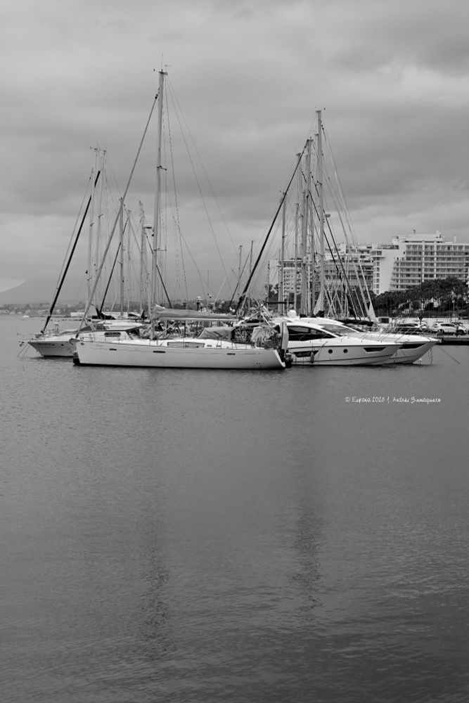 Imagen en formato vertical donde la mitad inferior es agua de mar en el puerto y la parte superior muestra veleros atracados y algunos edificios de la ciudad al fondo. El día está nublado.