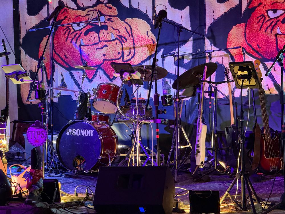 Cronic Dawgs live setup, with backdrop, drum set, microphones, and floor monitors. 