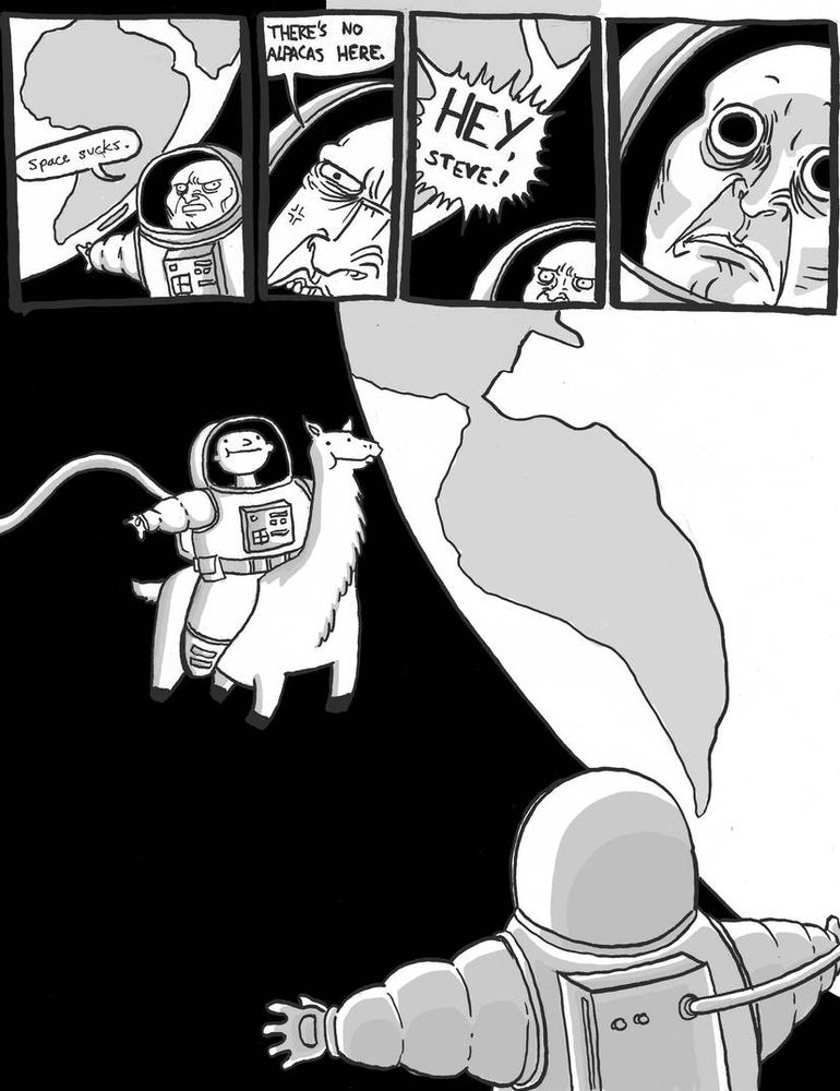 A short comic- an astronaut floats in space. He's angry. 
"Space sucks, there's no alpacas here". 

Another voice calls out: "HEY, steve!" 

The astronaut looks on in shock as another astronaut enters the view, riding an alpaca