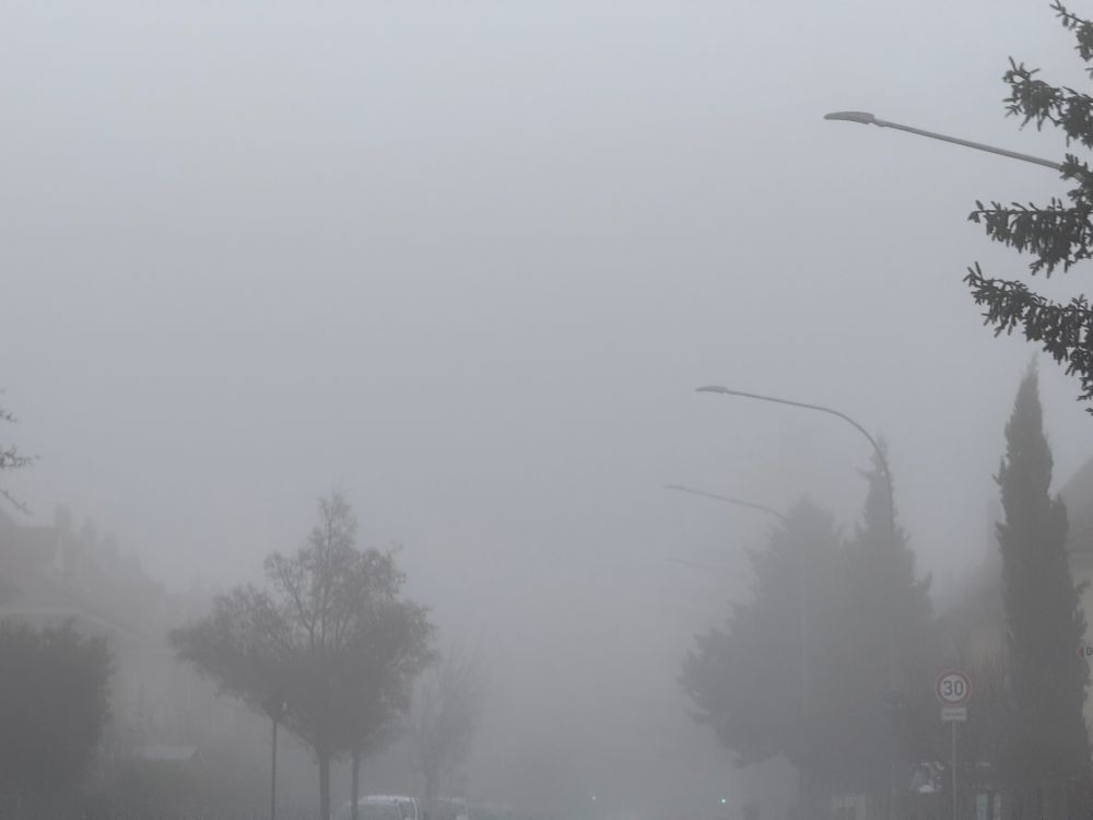 Eine Straße im Nebel. An den Seiten sind ein paar Bäume und Laternen schemenhaft zu erkennen. 