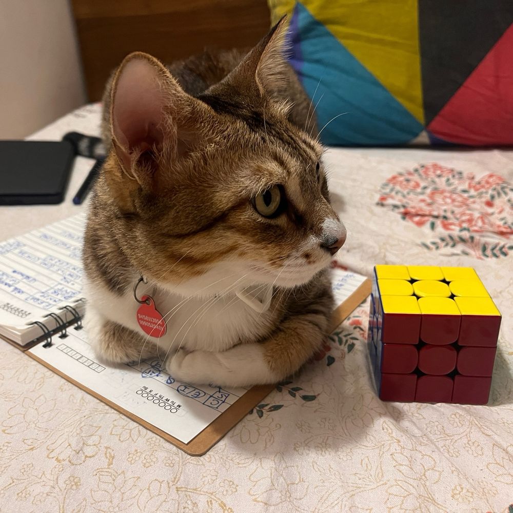 My tabby brown cat Wiki sitting on an open notebook on the bed next to a solved Rubik cube. 
