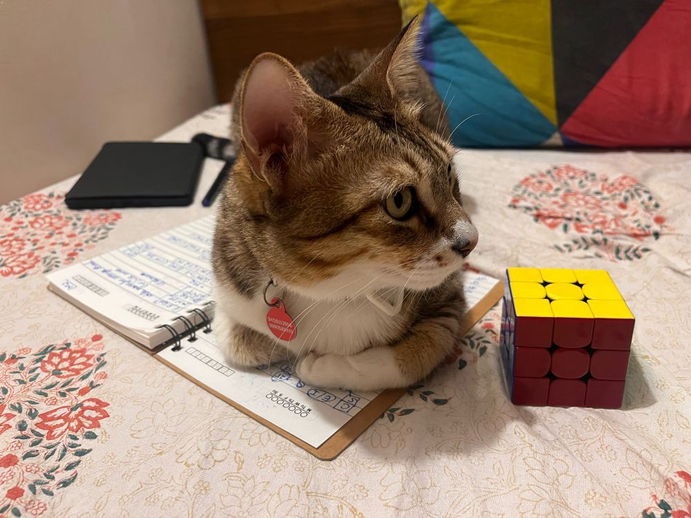 My tabby Cat Wiki sitting on a notebook next to a solved rubik cube. 