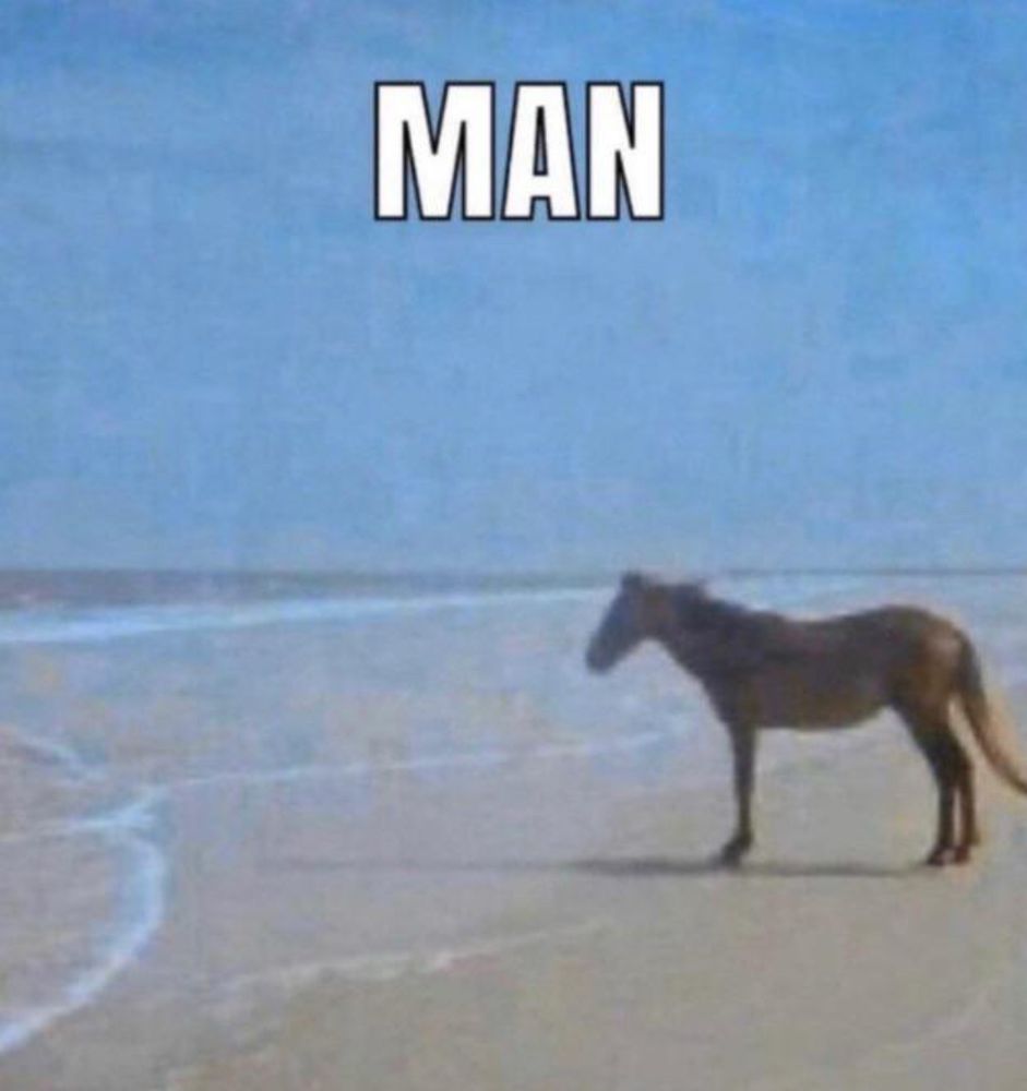 Meme with horse standing at beach next to water, text says “man”