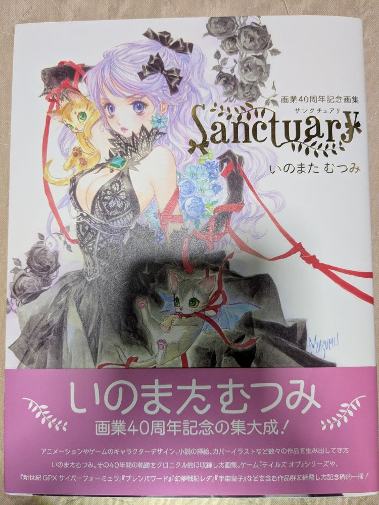いのまたむつみ　sanctuary 画集