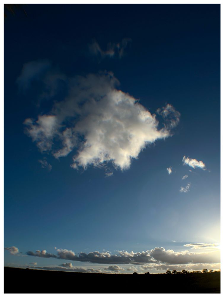 A big autumn sky. One big white cloud up high, with low clouds waiting to spring into action as the sun goes down. And the sun, stage right, already fed up of the day. It’s leaving and it’s taking its ball of fire with it. A ploughed field sits at the bottom. hard cold earth. 