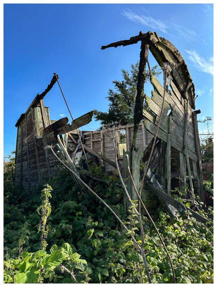 A wagon / shed - exploded with age and a fire at some point. It’s now a shattering of beams and metal bars, like a small whale burst from within. 

Again, the whole ruin is embedded in a rough ocean of nettles and thorns