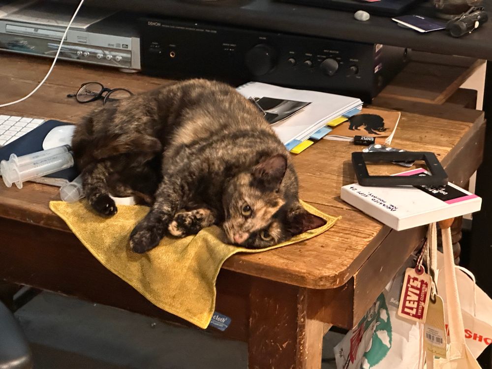 A small calico cat resting her whole body on a dirty yellow towelling rag on the corner of my desk. Her eyes are lost in rapture. 