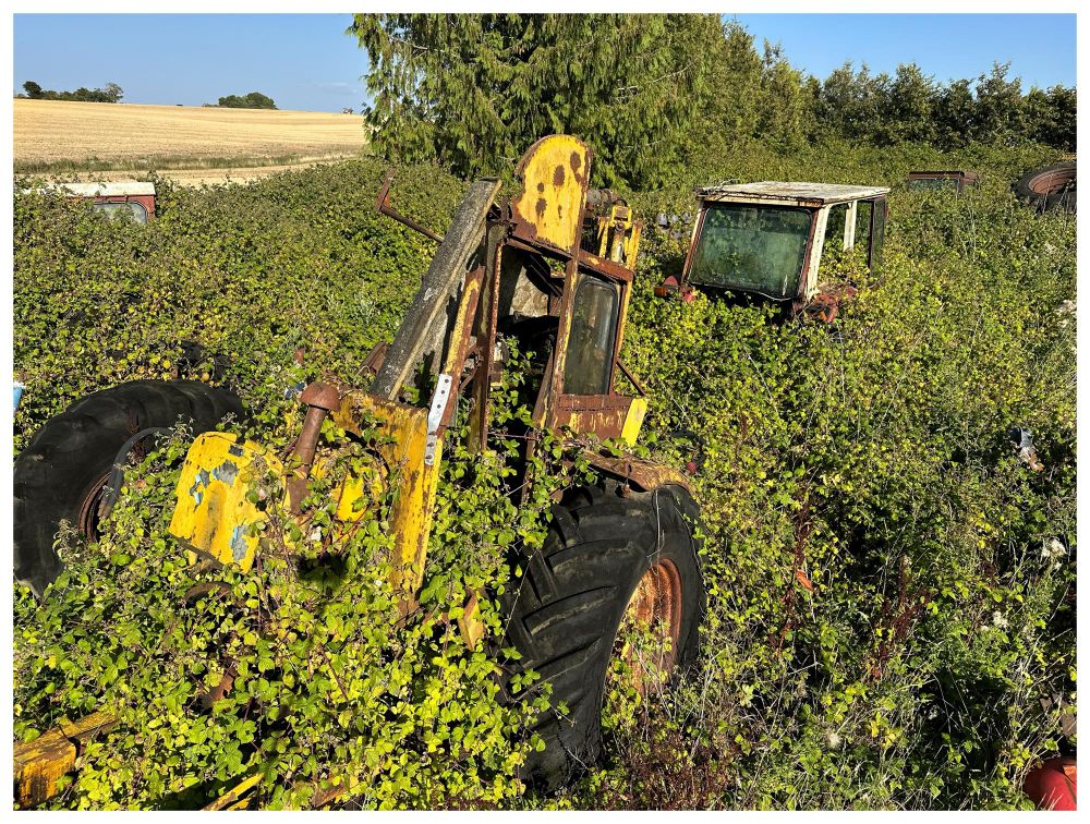 A yellow digger, and then two other tractors, barely visible in a cauldron of undergrowth. The abandoned farm machinery appears to be tilting, like a ship about to sink to the bottom of the earth, to join the archeology and other heavy metals. 