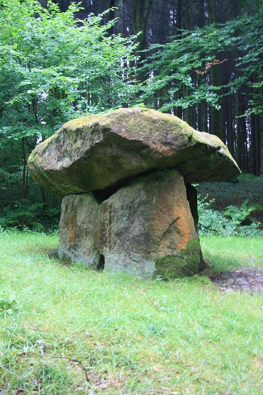 A neat dolmen-style burial chamber in a grassy clearing. There are plantation spruce behind, and ferns and smaller trees. It looks damply cool and enticing as I'm posting this on a very hot day.