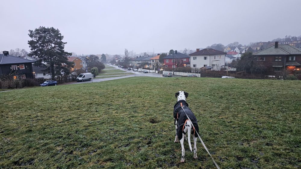 Bildet av byen tatt fra Bakkehaugen Kirke