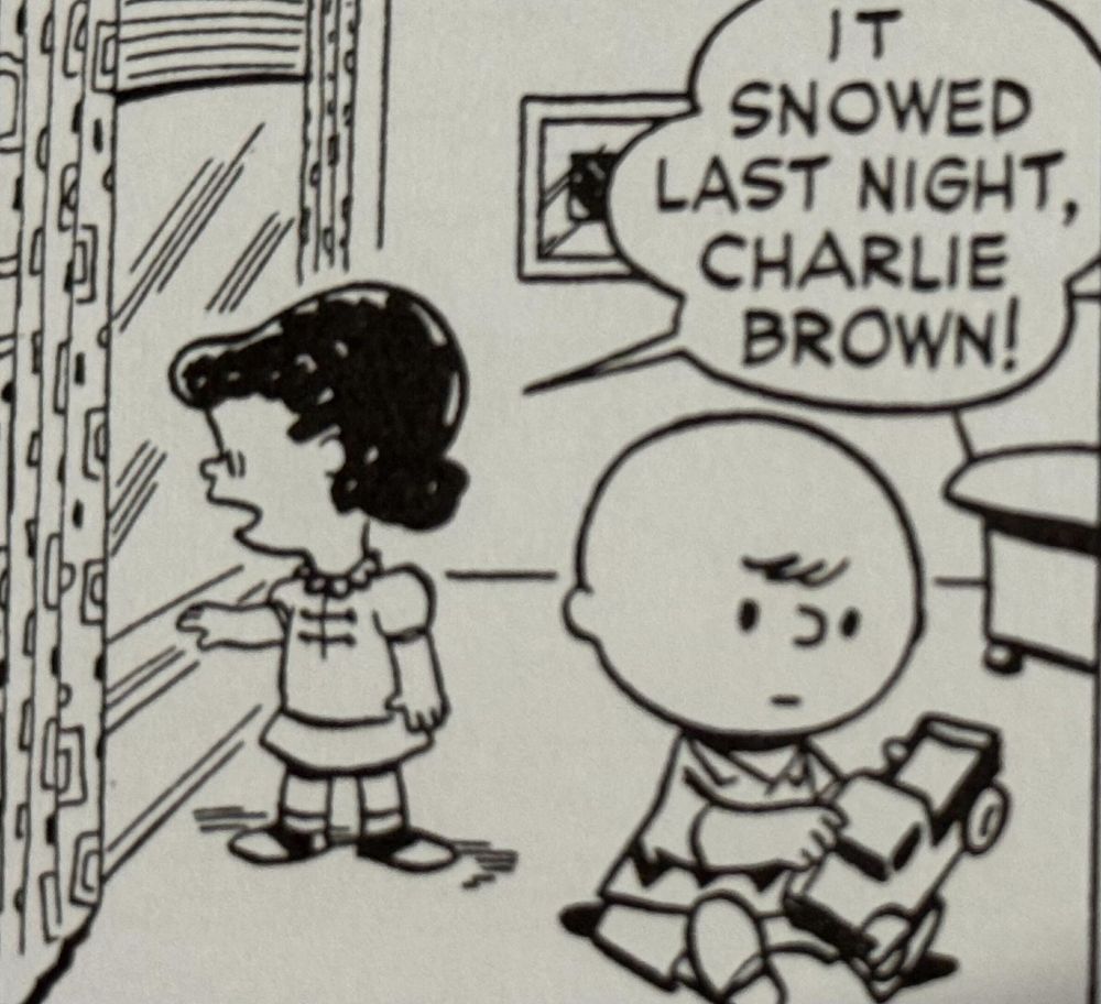 Lucy points out the window and says "It snowed last night, Charlie Brown!"