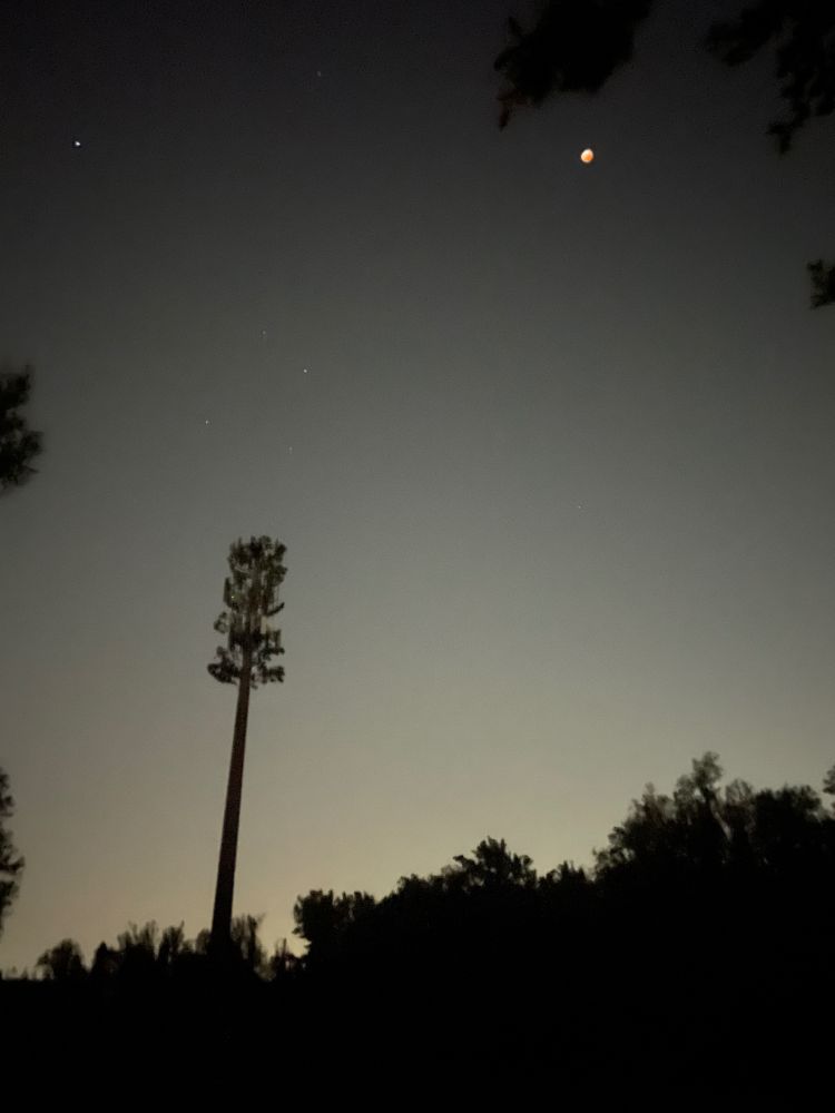 The aforementioned cell tower disguised as a tree during the lunar eclipse in March 