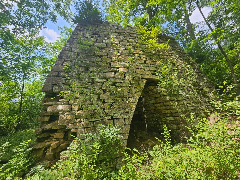Old Pyramid of stone in forest being taking over by lots of plants 