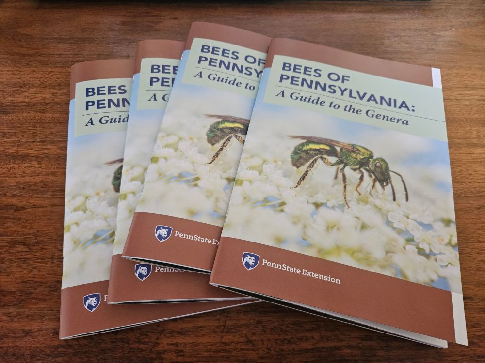 Copies of our new bees of Pennsylvania book On a wooden table 