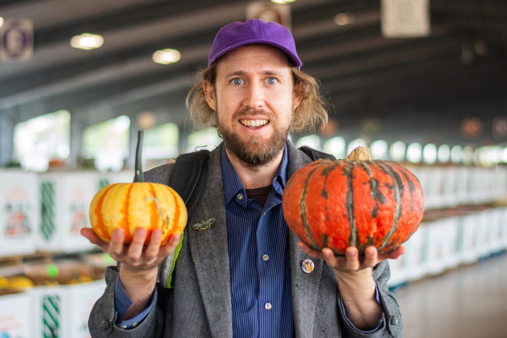 nash turley with a purple hat holding two pumpkins, dark orange ones with dark stripes and little yellow one with orange stripes 