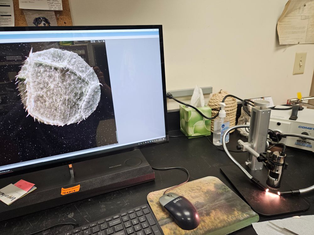 It's a photo of a computer screen with a weird looking fussy round thing on it and some yeah, microscope light equipment on the right side at the frame
