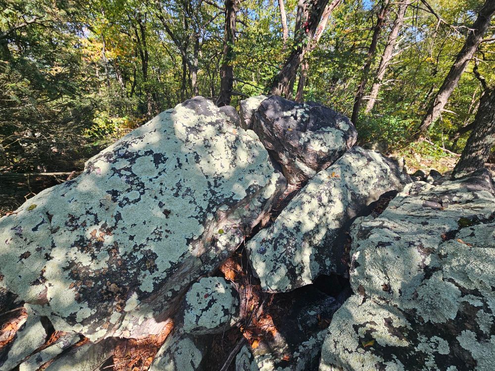 Pile of boulders on a mountaintop with light greenish lichen all over them and dappled sunlight with some trees and blue sky in the background