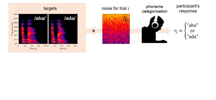 Schematic diagram of the experimental design: a speech target (aba or ada) is added to a white noise sound. The participant is instructed to select which of the two target they think they heard.