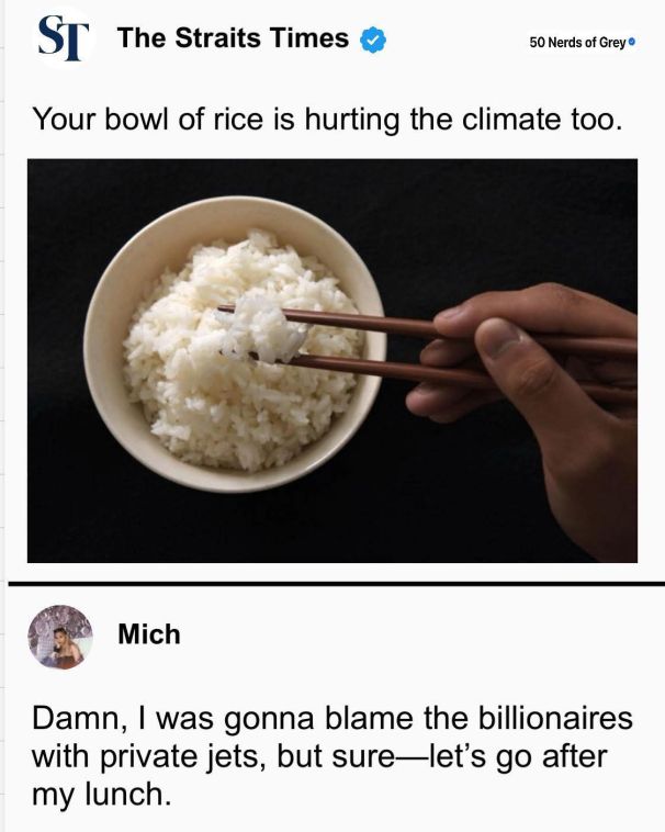 A newspaper heading with the title "Your bowl of rice is hurting the climate to", as well as the image of a bowl of rice, followed by a reply below "Damn, I was gonna blame the billionaires with private jets, but sure - let's go after my lunch."