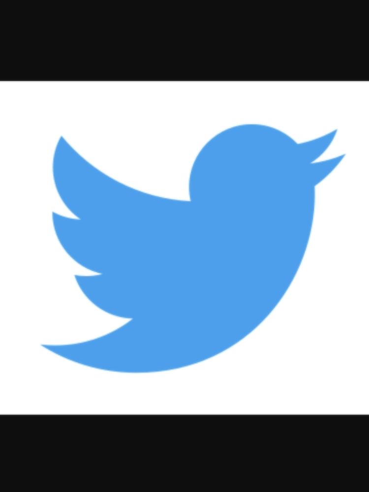 Shows image of the twitter logo
