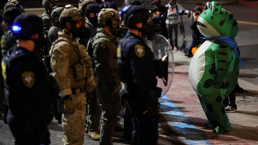 Protestors in frog costume stands up to ICE & DHS henchmen