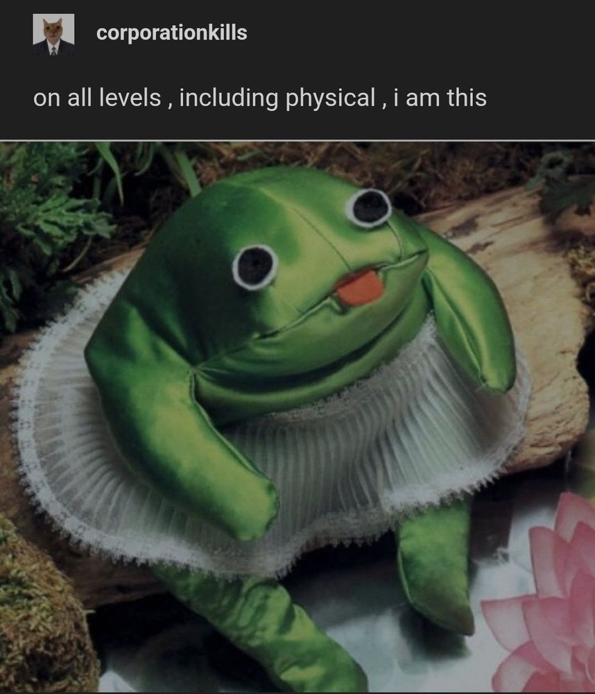 a green satin frog beanbag toy
wearing a white tutu, sitting like
a human on a log in the forest. it
has big eyes with big pupils. an orange tongue pokes out of its closed mouth, looking very silly. it is captioned by Tumblr user corporationkills "on
all levels, including physical, i am
this"