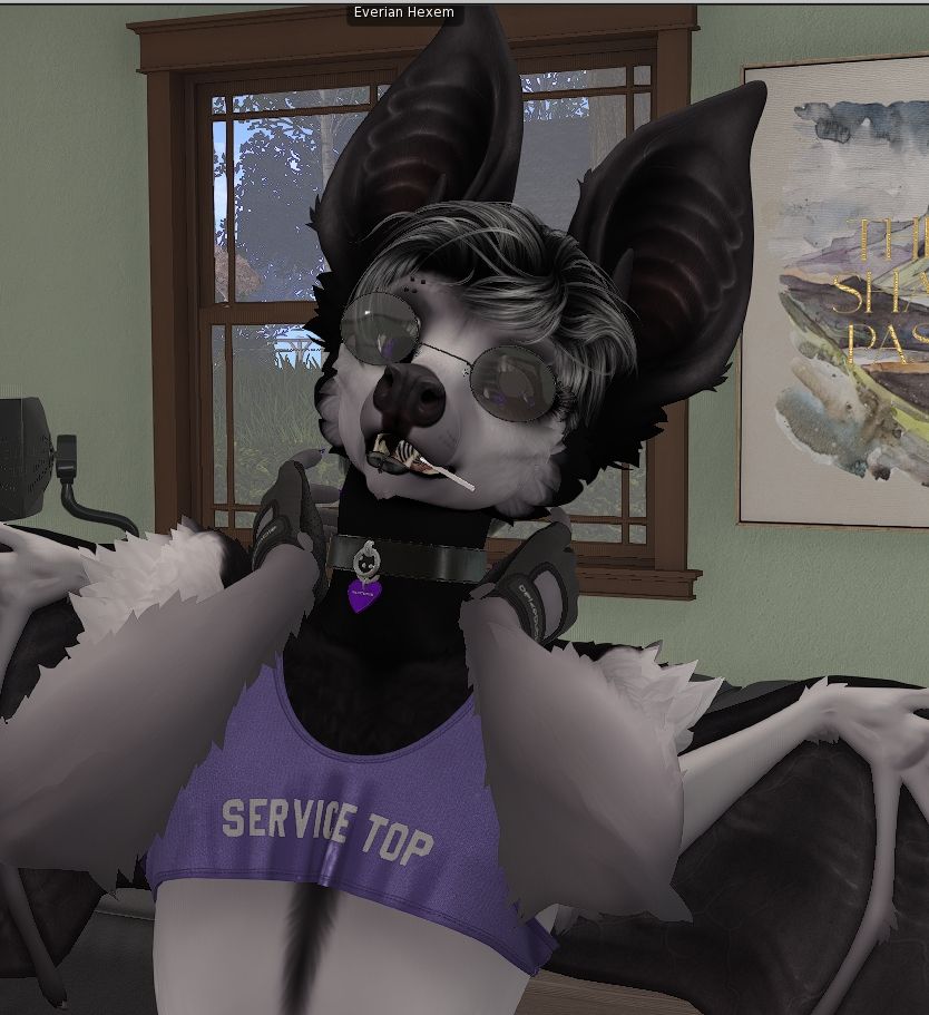 A Second Life screenshot of an anthro bat avatar with white and black fur, wearing a purple crop top that says Service Top (snowash), a black collar with tag (eden.), black fingerless gloves (belzebubble), glasses (I don't remember I'm sorry), with a lollipop in his mouth (curious detail). He has short black and grey hair (wings) 