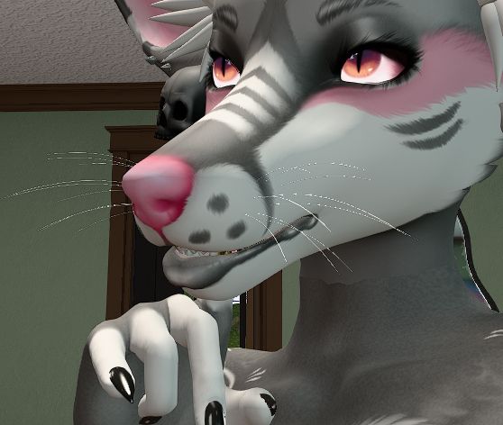 A screenshot from Second Life of the Cerberus Fidget's Doggo furry head wearing  a white and grey emo-style skin, with a big pouty lower lip