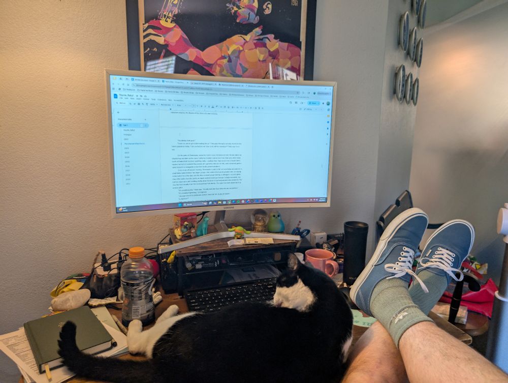 Photo of my (plumpish) tuxedo cat laying down on my desk in front of my keyboard and computer monitor 
