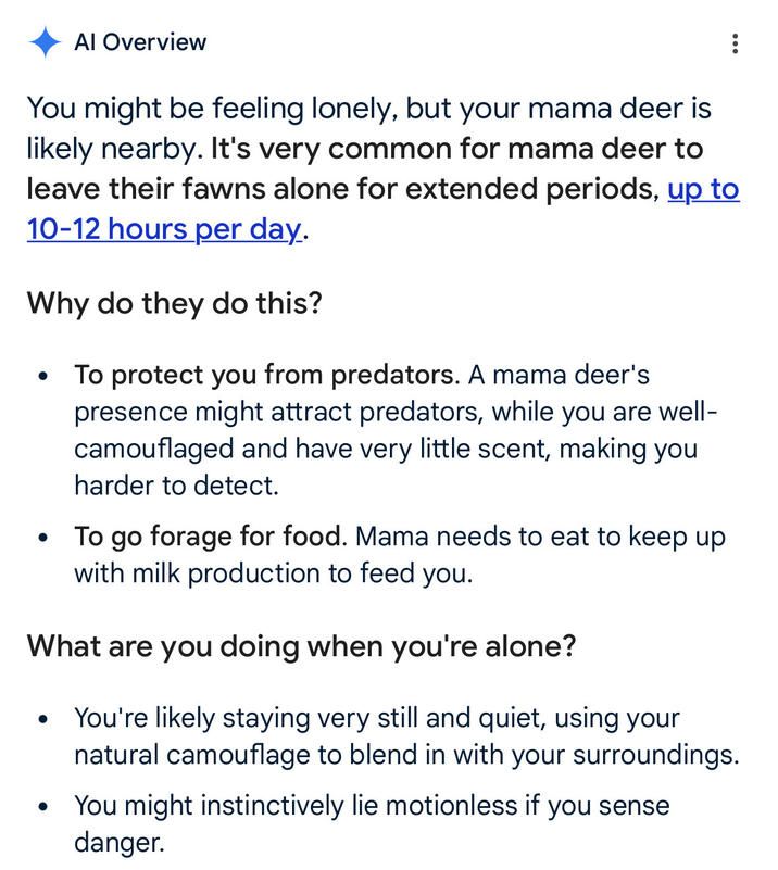 gemini flash saying in response to the prompt 'i am a small baby deer where is mama'
"You might be feeling lonely, but your mama deer is likely nearby. It's very common for mama deer to leave their fawns alone for extended periods, up to 10-12 hours per day.

Why do they do this?
- to protect you from predators. A mama deer's presence might attract predaores, while you are well camouflaged and have very little scent, making you harder to detect
- to go forage for food. Mama needs to eat to keep up with milk production to feed you.

What are you doing when you're alone?
- you're likely staying very still and quiet, using your natural camoflage to blend in with your surroundings
- you might instinctively lie motionless if you sense danger