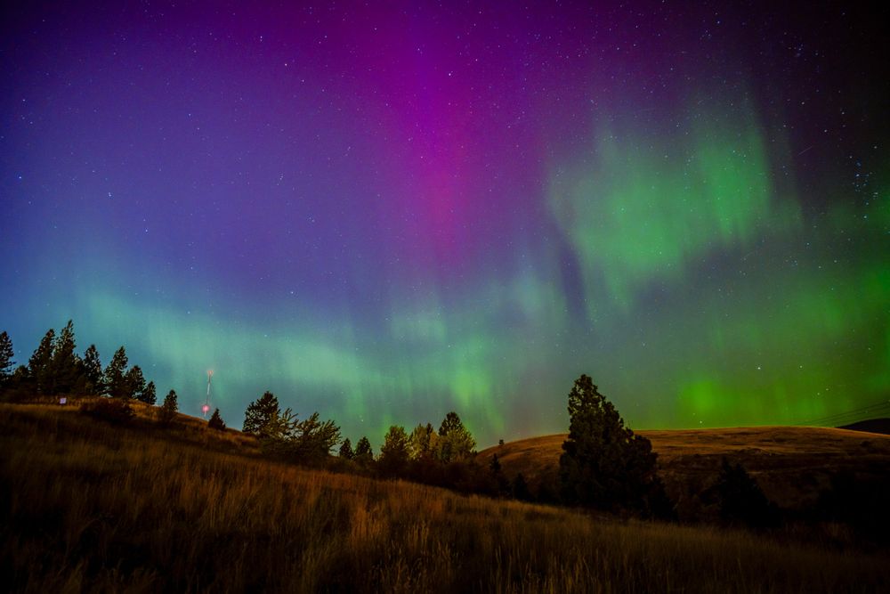 the aurora borealis over missoula, montana with greens, purples, and pinks
