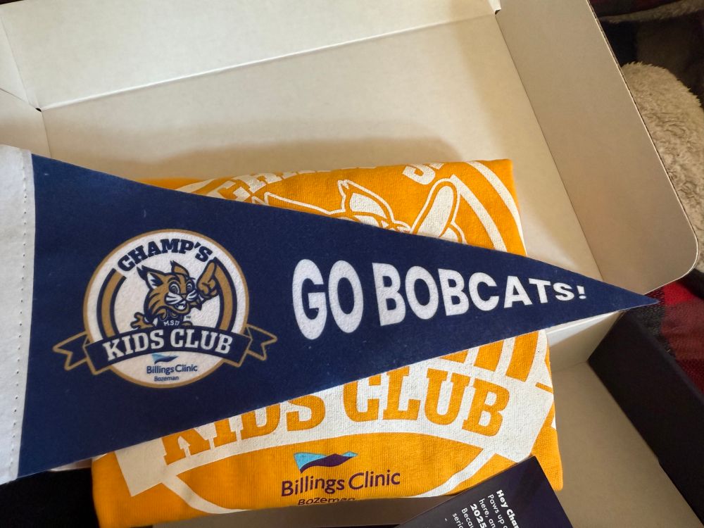 The mini pennant and shirt. The pennant is blue and has the kids club logo on it and says “Go Bobcats!” The shirt is yellow 