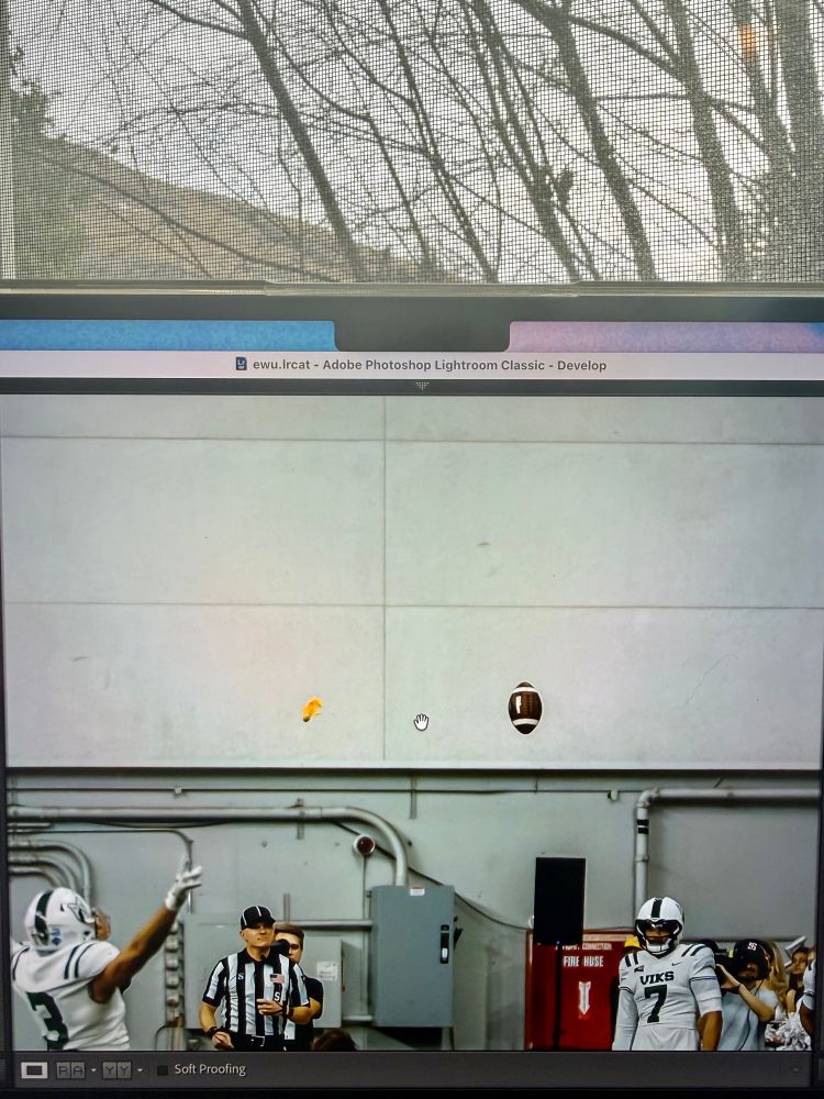 A ref has thrown a flag for pass interference. The ball has overthrown the receiver. Both are at the exact same height in the air above the players in the Kibbie Dome 