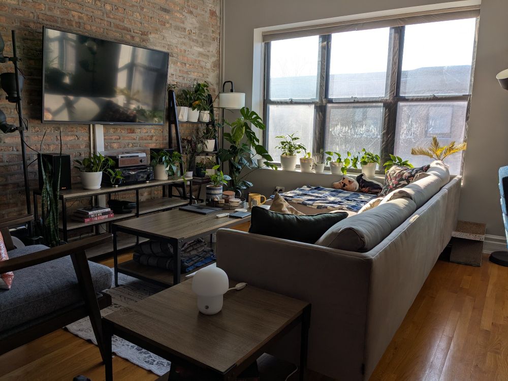 A couch and coffee table situated in front of a mounted TV. Large windows are in the far wall with houseplants on the window sill and on nearby shelves.