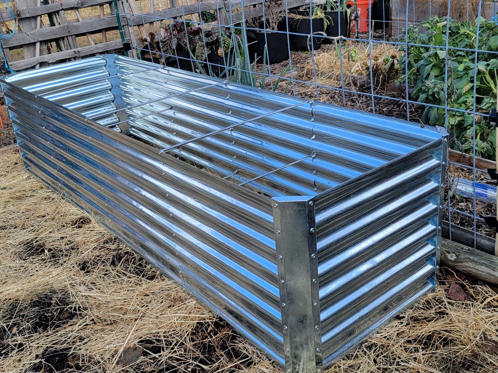 Metal garden bed from one corner, angle shot