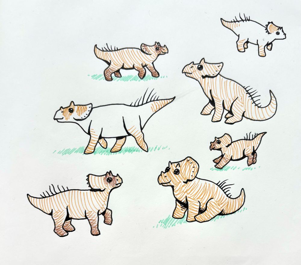 A pen and paper drawing of a bunch of baby triceratops posed like baby goats