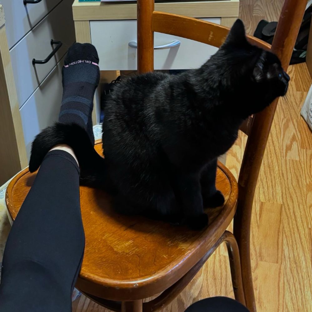 A black cat sitting on a chair with her tail draped over my ankle