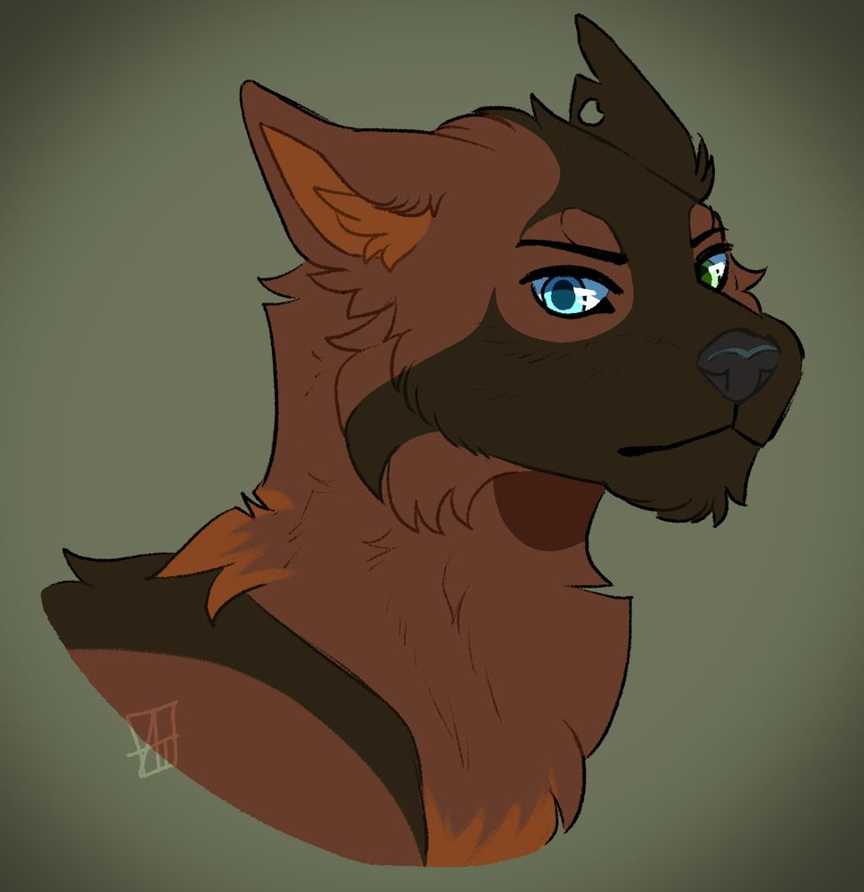 A brown and terracotta wolf has a stoic expression on his face. He has dense, blocky fur, with a square muzzle to match. One eye is blue, and the other is green