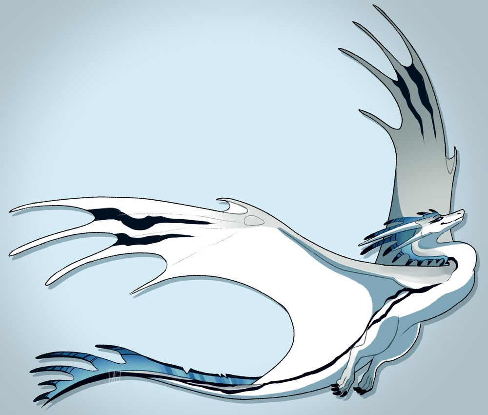 A grey and white wyvern is mid flight, their wings are stretched out. There are two sets of long horns on their head, and black stripes going down the sides of their body and wings. There are also spiny blue fins going down their back, from head to tail
