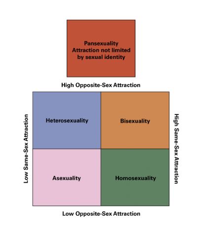 a graph of sexual orientations, organized into four quadrants: x-axis is level of same-sex attraction and y-axis is opposite-sex attraction. Quadrants are asexuality, heterosexuality, bisexuality, and homosexuality. Then pansexuality, above the table, is described as "attraction not limited by sexual identity". It's based off a typography from 1980.
