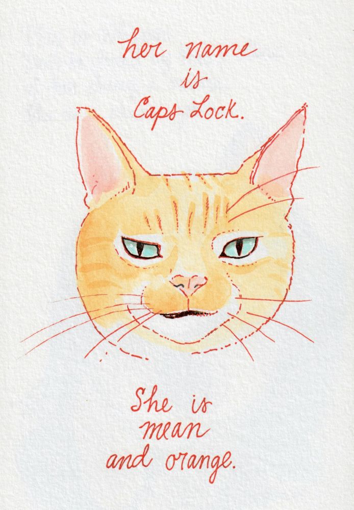 A drawing of Caps Lock the orange cat, text in cursive reads "her name is Caps Lock. She is mean and orange."