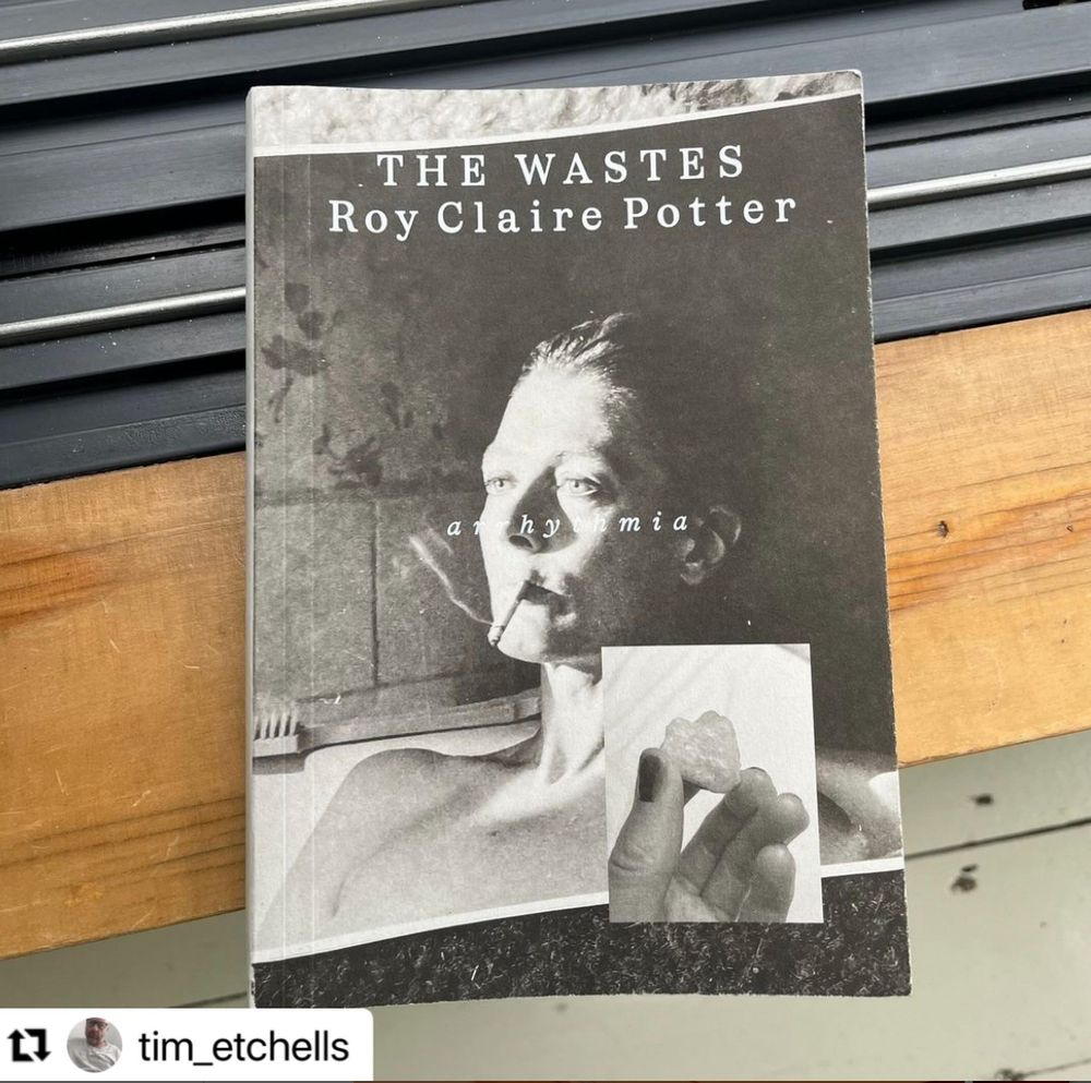 Cover of Roy Claire Potter's book The Wastes laying on a threshold of a window or sliding door, metal and wood. Cover of book is greyscale and features a picture of actress Vanessa Redgrave smoking in a bath.