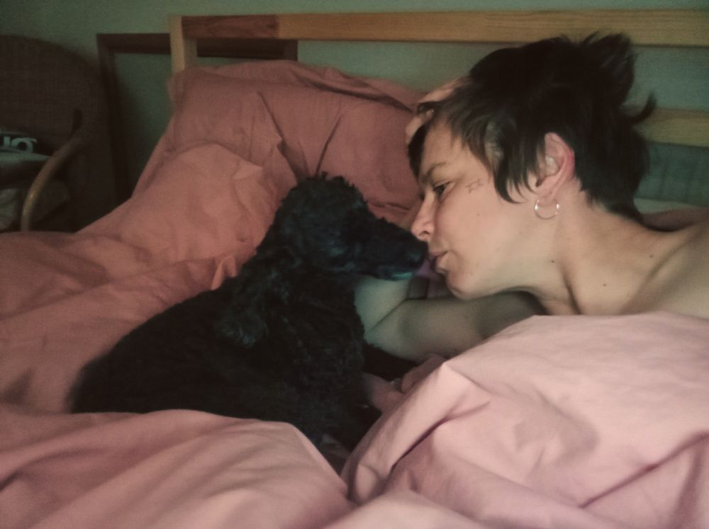 Small black dog and person lick and kiss in pink sheets. 